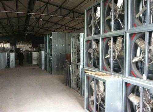 養雞舍中的自然通風器 養雞舍中的自然通風器